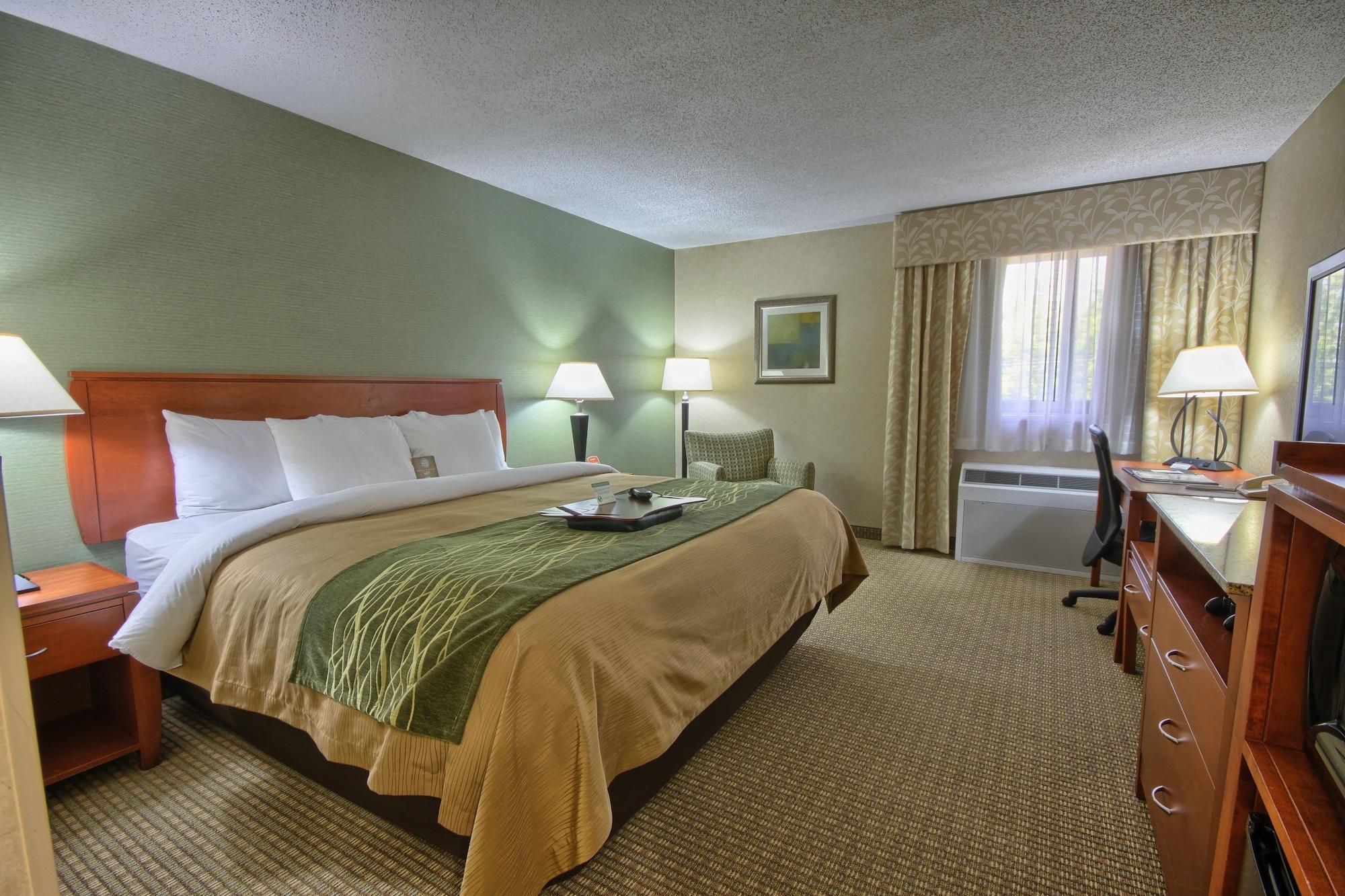 Comfort Inn Near Greenfield Village Dearborn Εξωτερικό φωτογραφία