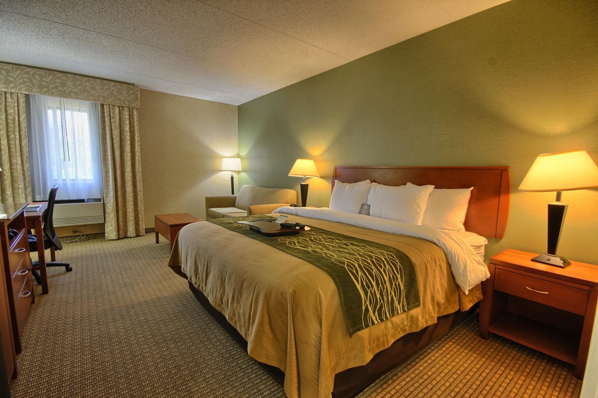 Comfort Inn Near Greenfield Village Dearborn Εξωτερικό φωτογραφία